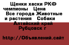 Щенки хаски РКФ чемпионы › Цена ­ 90 000 - Все города Животные и растения » Собаки   . Алтайский край,Рубцовск г.